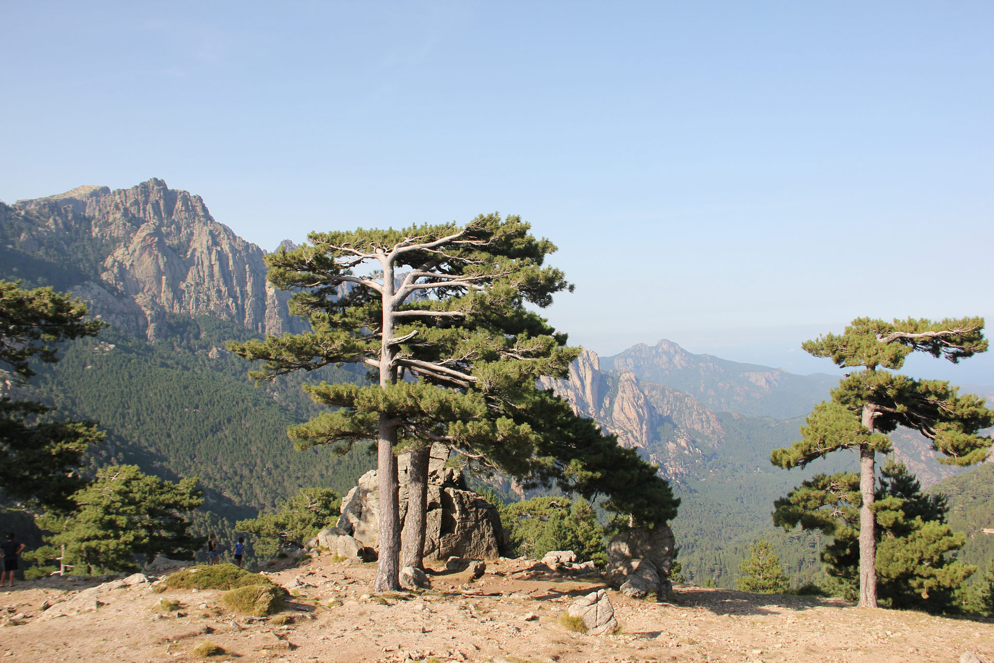 Col de Bavella
